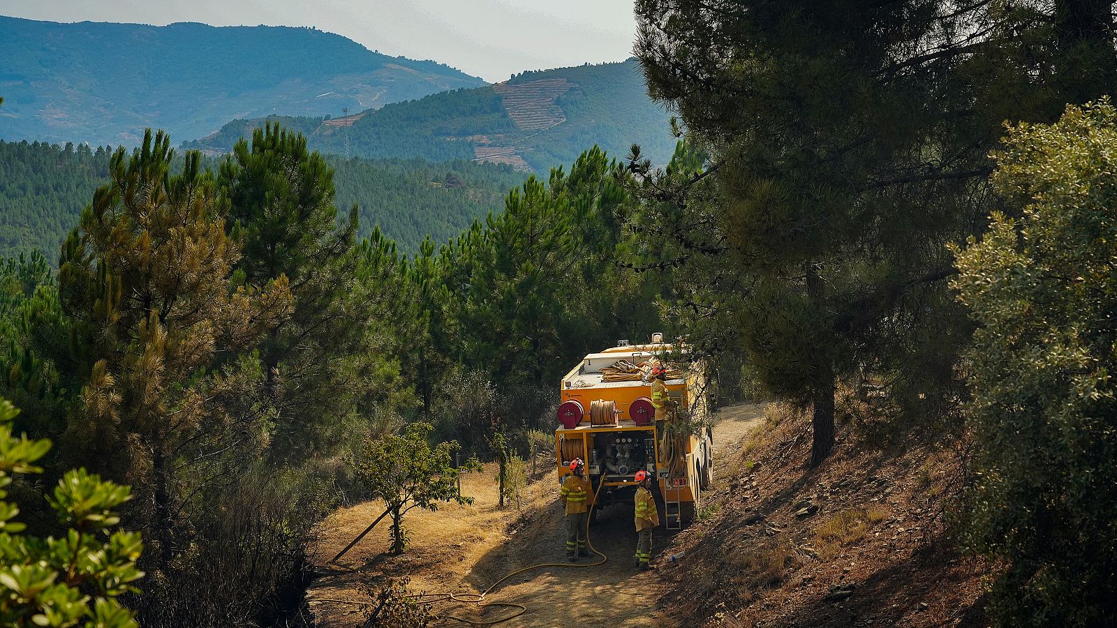 Los incendios de Las Hurdes y Ávila continúan activos pero evolucionan favorablemente | Ver