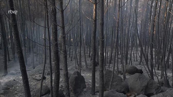 Informativo 24h - Informativo 24 horas - 20h - 01/08/25