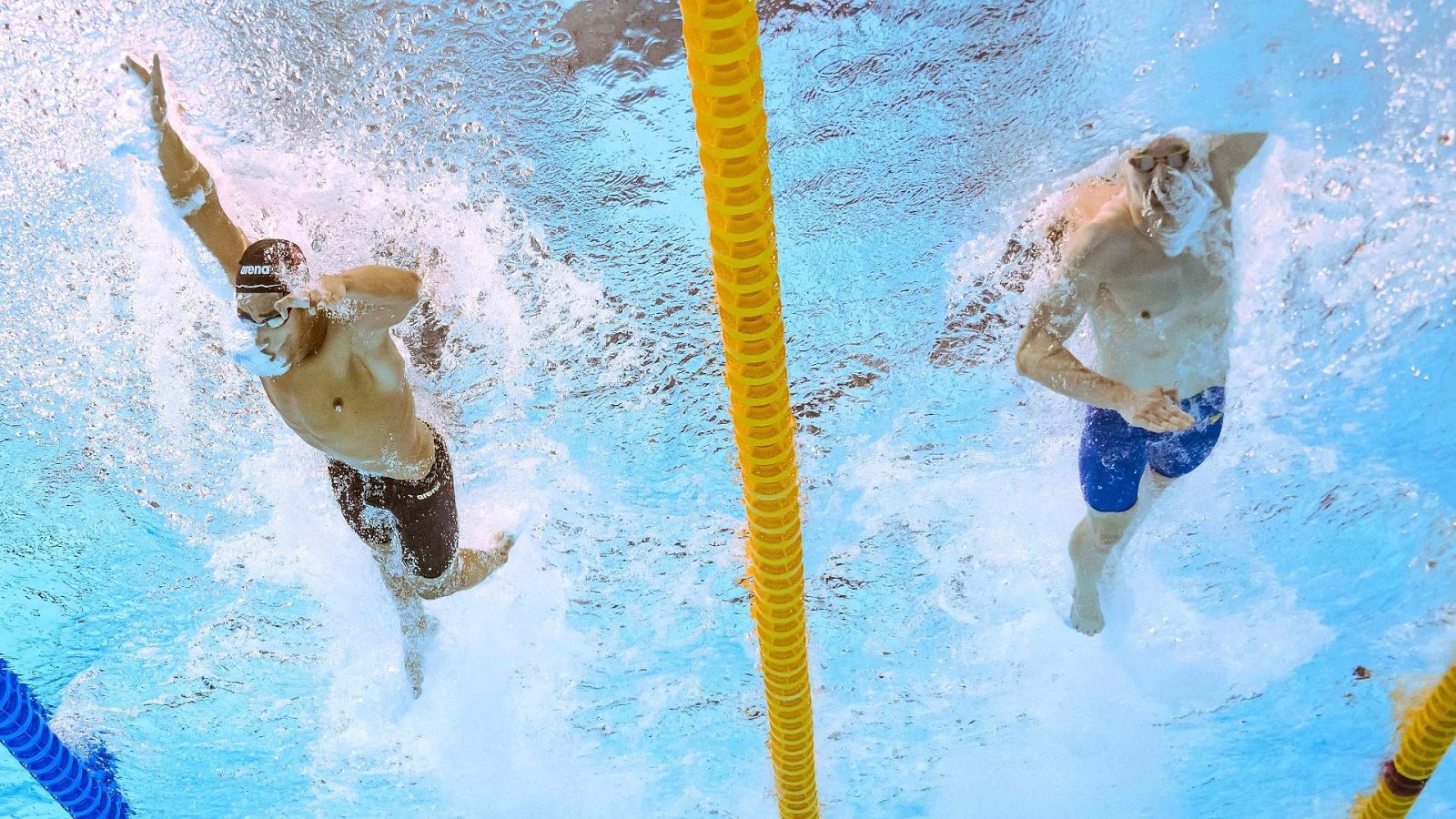 Natación - Campeonato del Mundo. Sesión matinal - Natación | Ver
