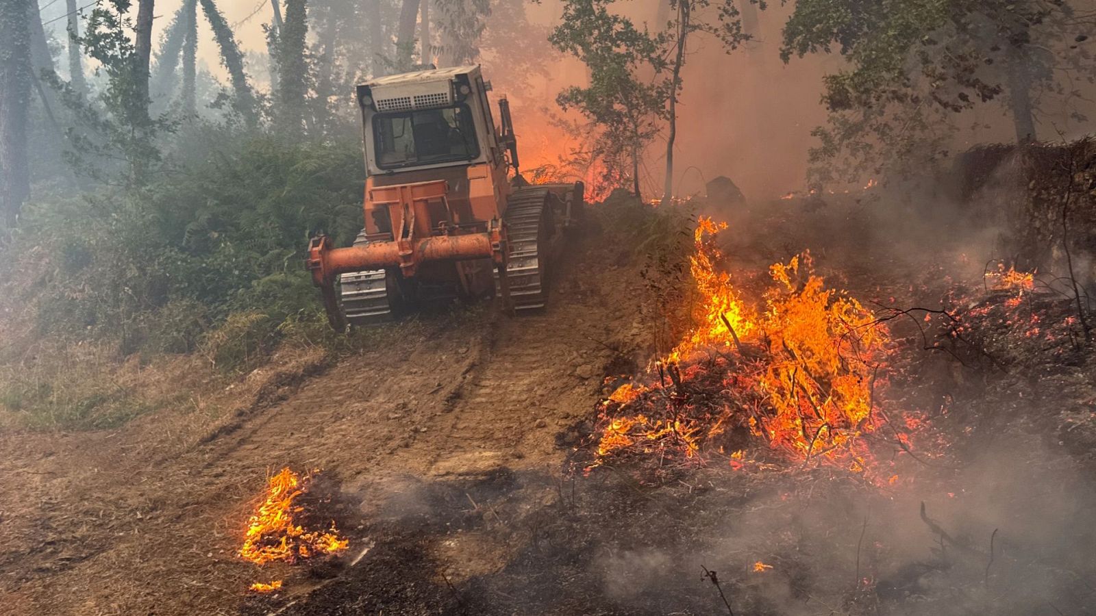 Informativo 24 horas - 14h - 02/08/25 - Fin de semana 24h | Ver