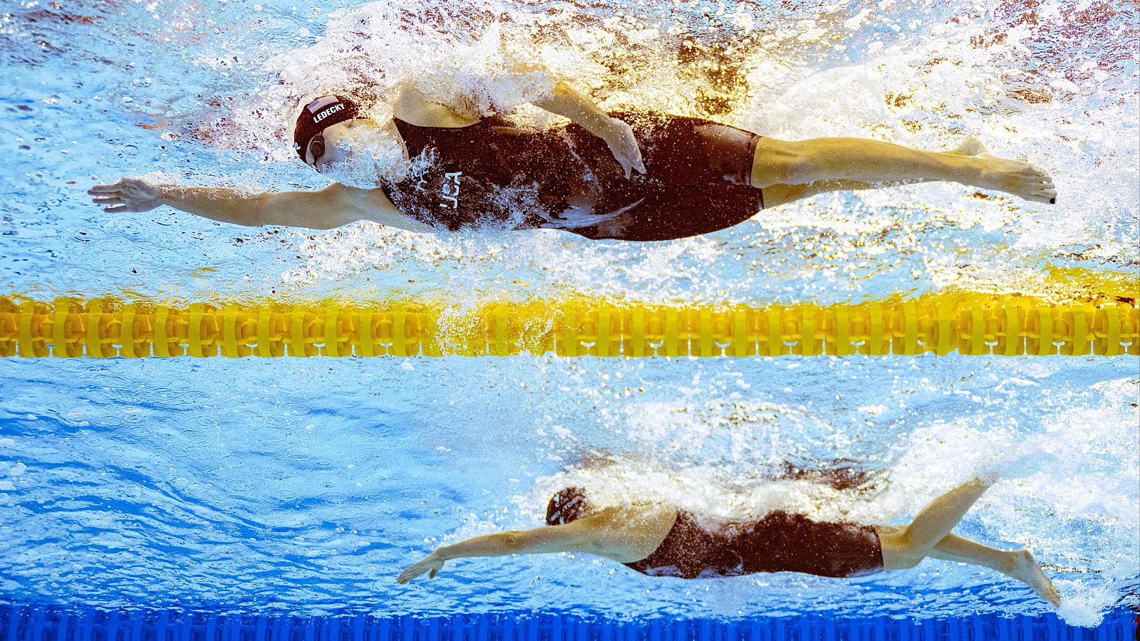 Natación - Campeonato del Mundo. Sesión vespertina - Natación | Ver