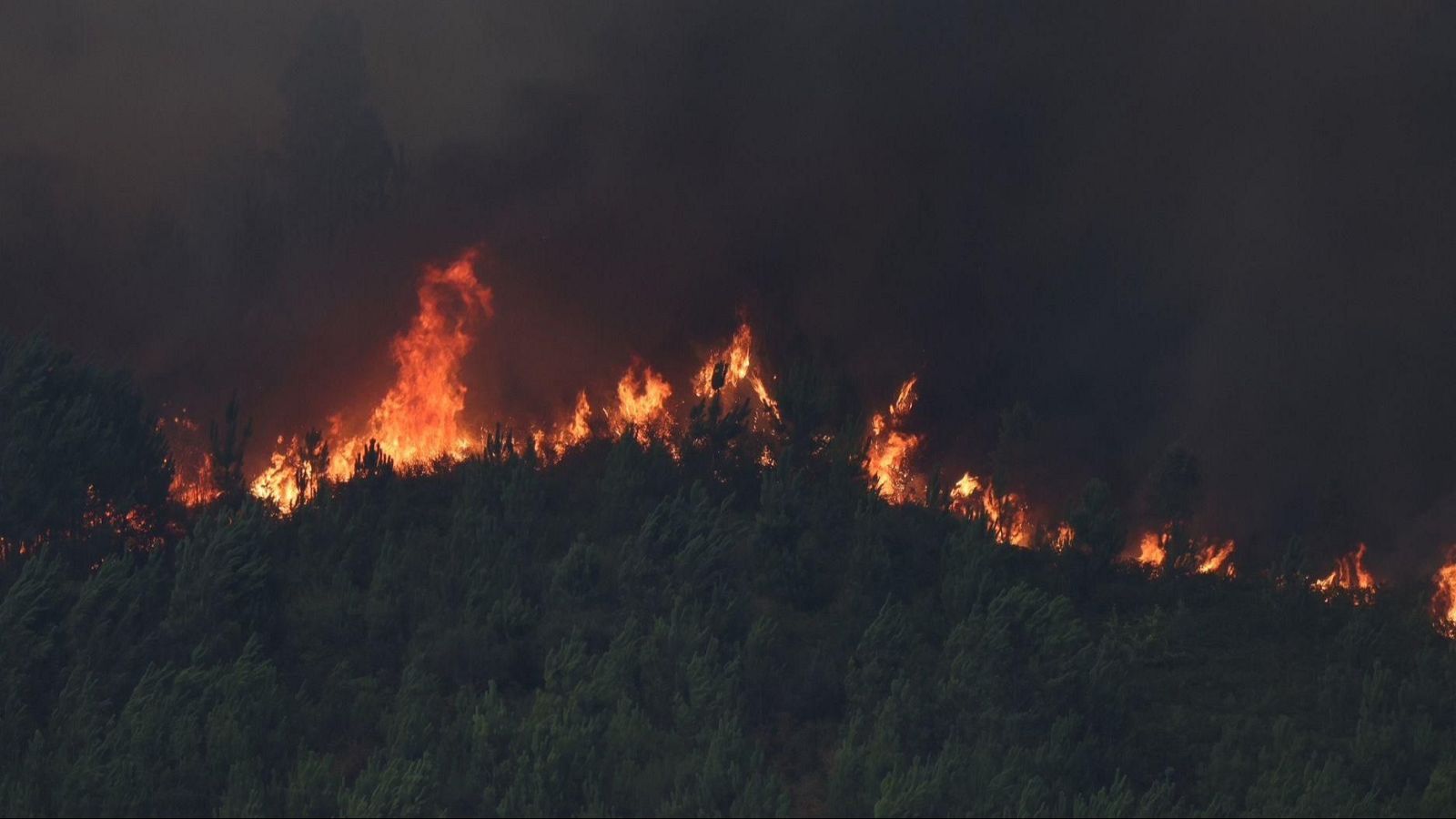 Telediario - 15 horas - 02/08/25 - Lengua de signos - Telediario en lengua de signos | Ver