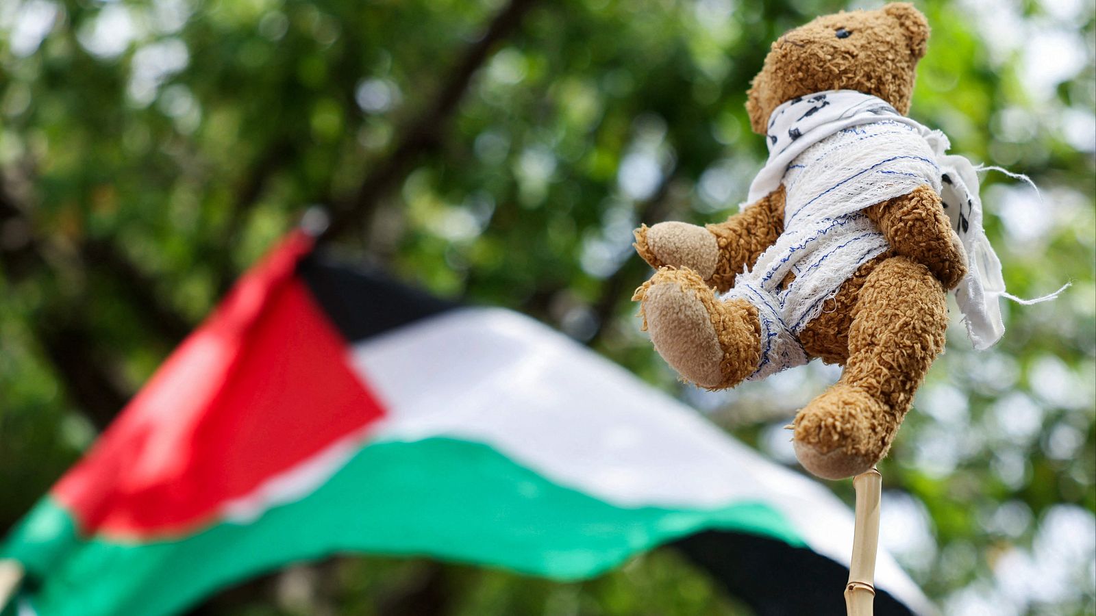 ¿Qué pueden hacer los ciudadanos para ayudar a los gazatíes? | Ver