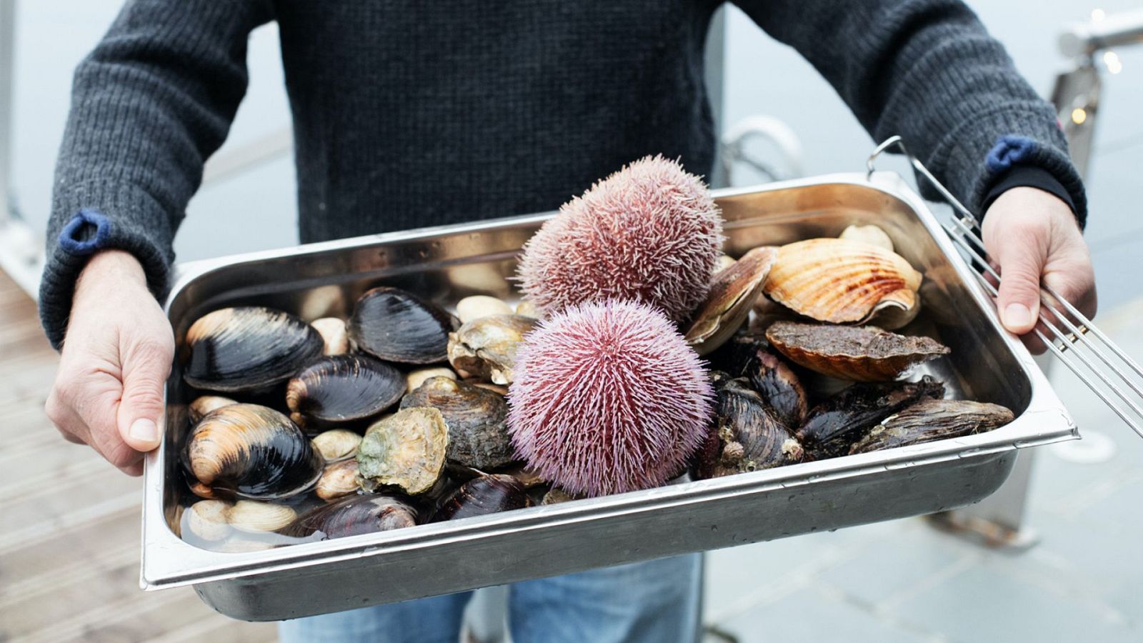 Mercados del mundo. En la panza de la ciudad - Bergen - Mercados del mundo. En la panza de la ciudad | Ver
