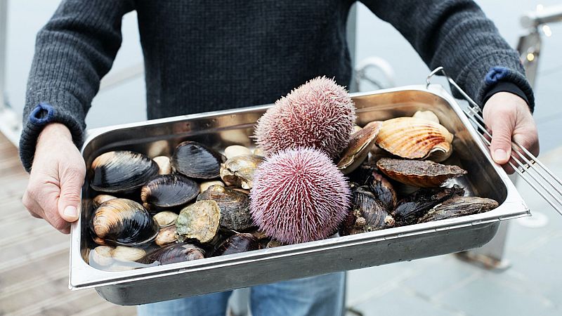 Mercados del mundo. En la panza de la ciudad - Bergen - Mercados del mundo. En la panza de la ciudad | Ver