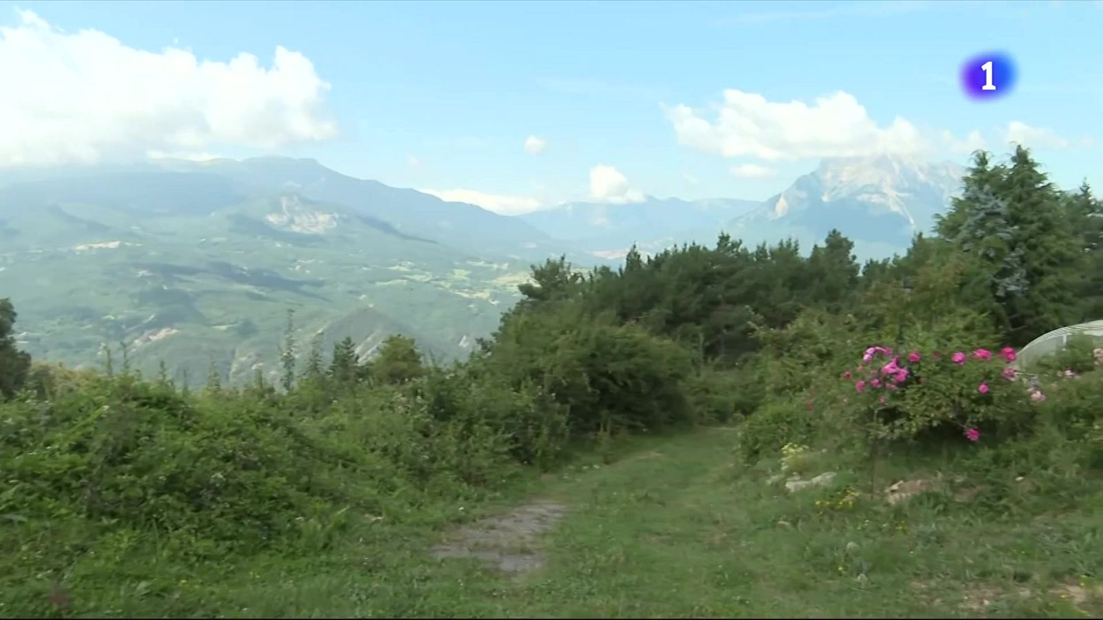 L'Informatiu - 03/08/2025