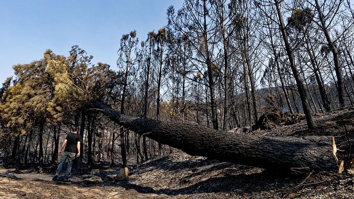 Efectos del incendio en las localidades abulenses de Mombeltrán, Cuevas del Valle y El Arenal