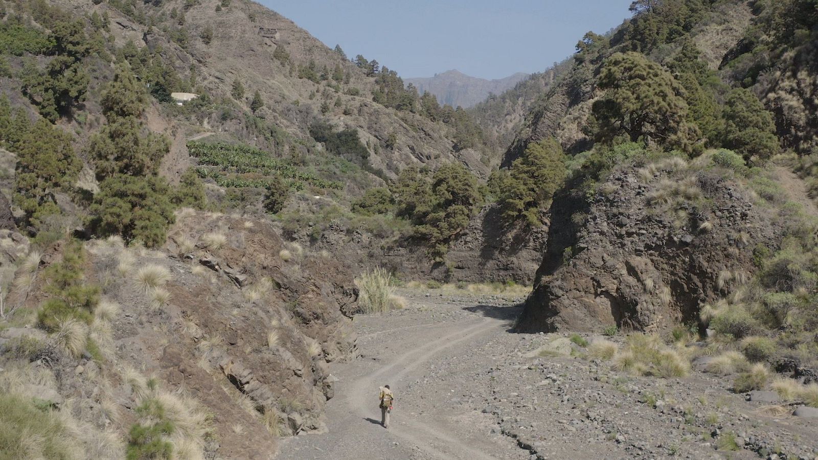 Senderos con Juan y Migas - Temporada 3 - Las anotaciones del moleskine | Ver