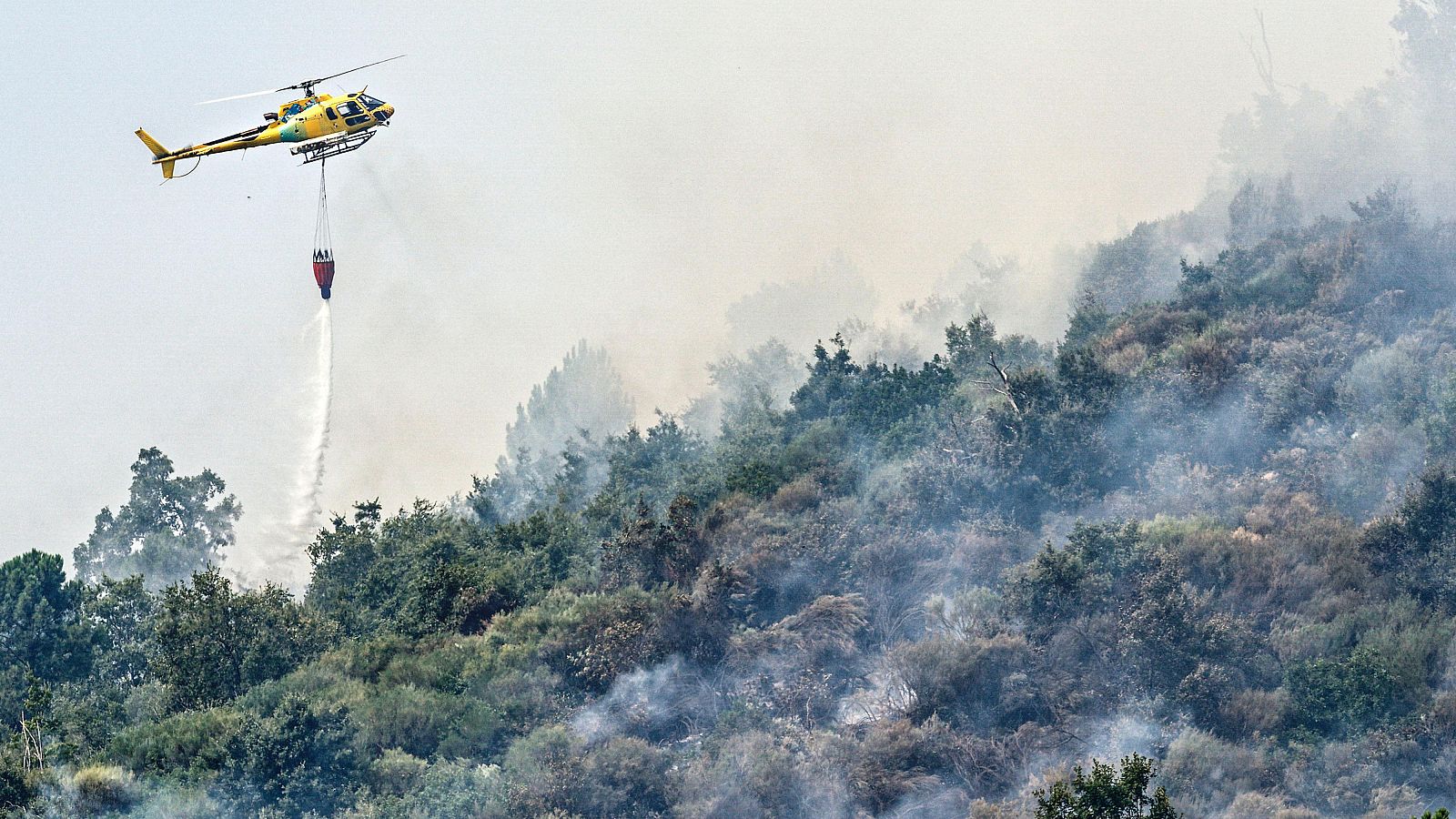 Telediario matinal en 4' - 04/08/2025 | Ver