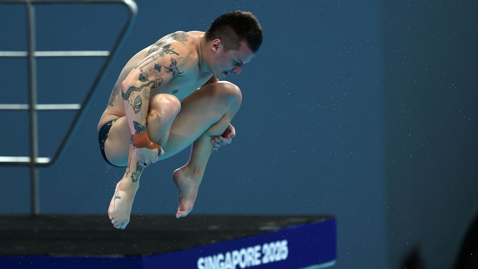 Saltos - Campeonato del Mundo. Final 10m Masculino - Natación | Ver