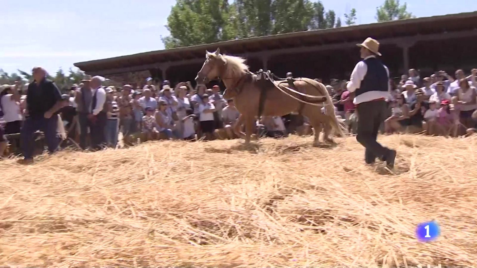 Telerioja en 2 - 04-08-2025 | Ver