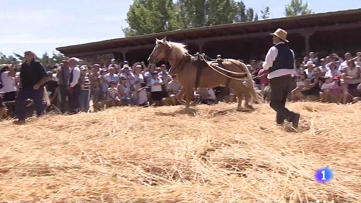 Informativo Telerioja - Telerioja en 2 - 04-08-2025