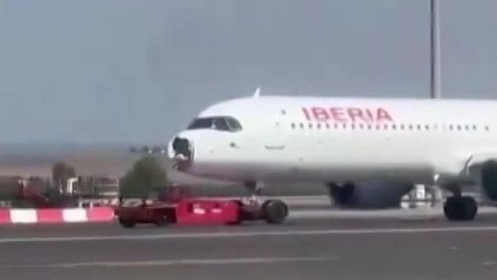 Telediario 1 - Un buitre impacta contra un avión y obliga a realizar un aterrizaje de emergencia en Madrid