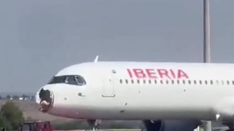 Un ave impacta contra un avión y aterriza de emergencia - Mañaneros 360 | Ver