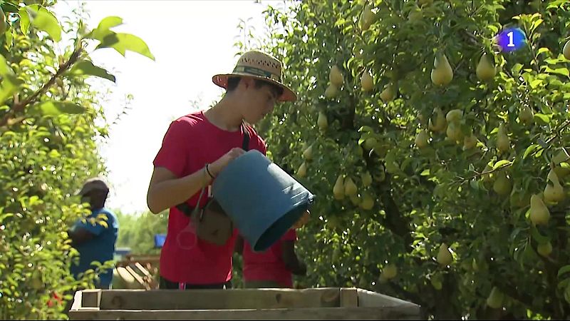 L'Informatiu - 05/08/2025