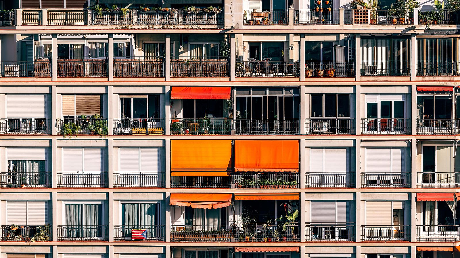 Heredar piso, un regalo envenenado | Ver