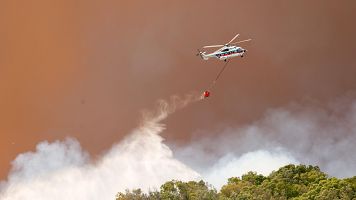 El incendio forestal declarado en Tarifa, Cdiz, contina activo tras obligar a desalojar casas, hoteles y cmpines