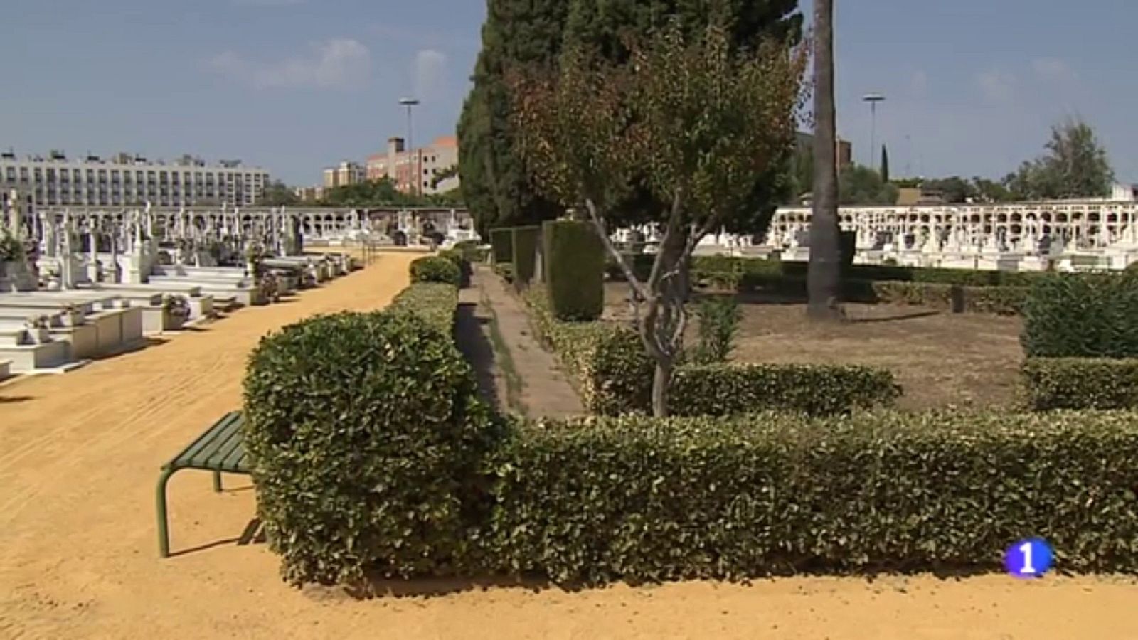 Trabajos de delimitación de tres fosas comunes en Sevilla | Ver ahora