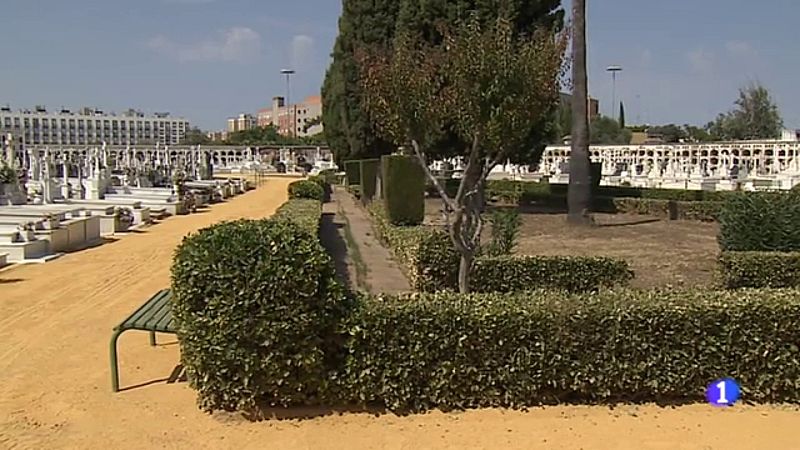 Trabajos de delimitación de tres fosas comunes en Sevilla