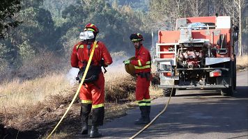 Estabilizado el incendio forestal declarado en Tarifa