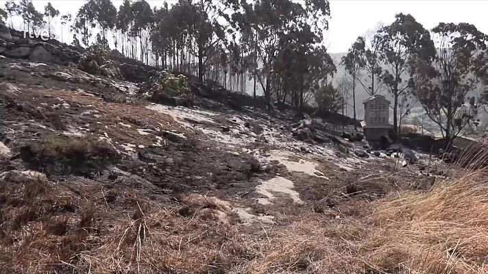 Diario 24 - Diario 24 - 07/08/25