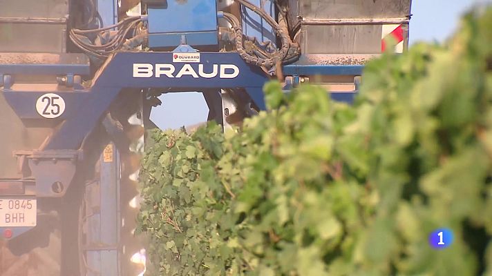 Informativo Telerioja - Informativo Telerioja - 07-08-2025