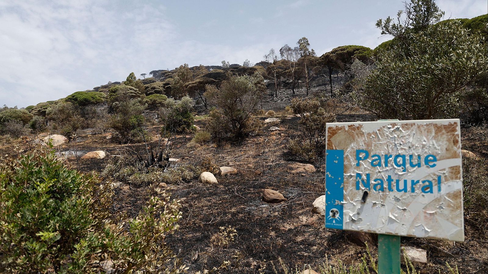 Estabilizado el incendio de Tarifa pero sigue sin estar controlado - Telediario 1 | Ver