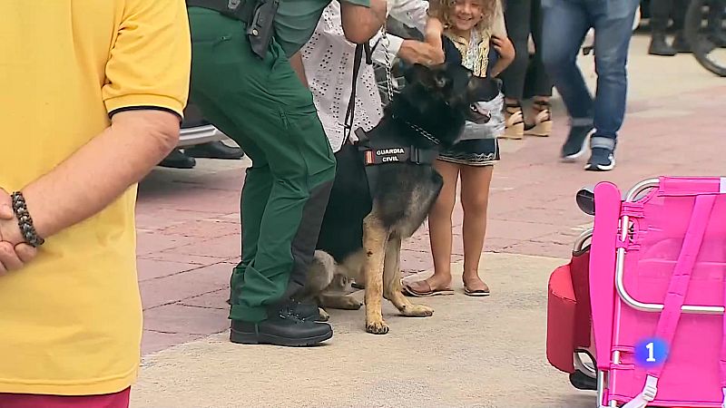 Panorama Regional - 08/08/25 | Ver