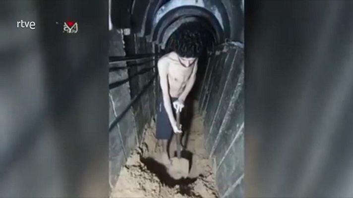 Informativo 24h - Informativo 24 horas - 14h - 08/08/25