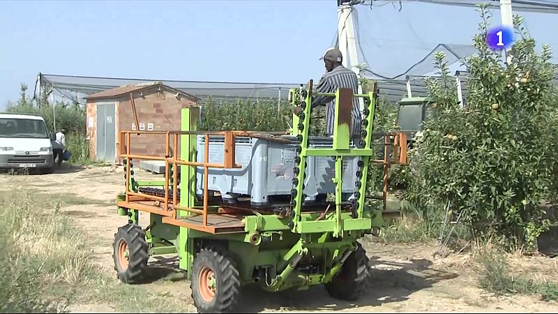 El termòmetre s'enfila fins als 40 graus a Ponent