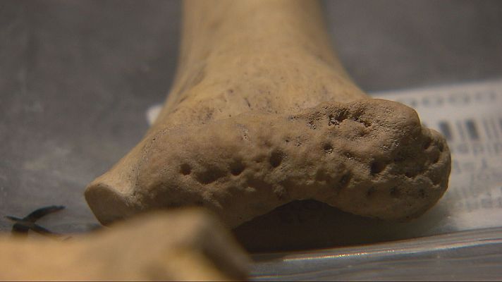 L'Informatiu - Canibalisme durant el Neolític