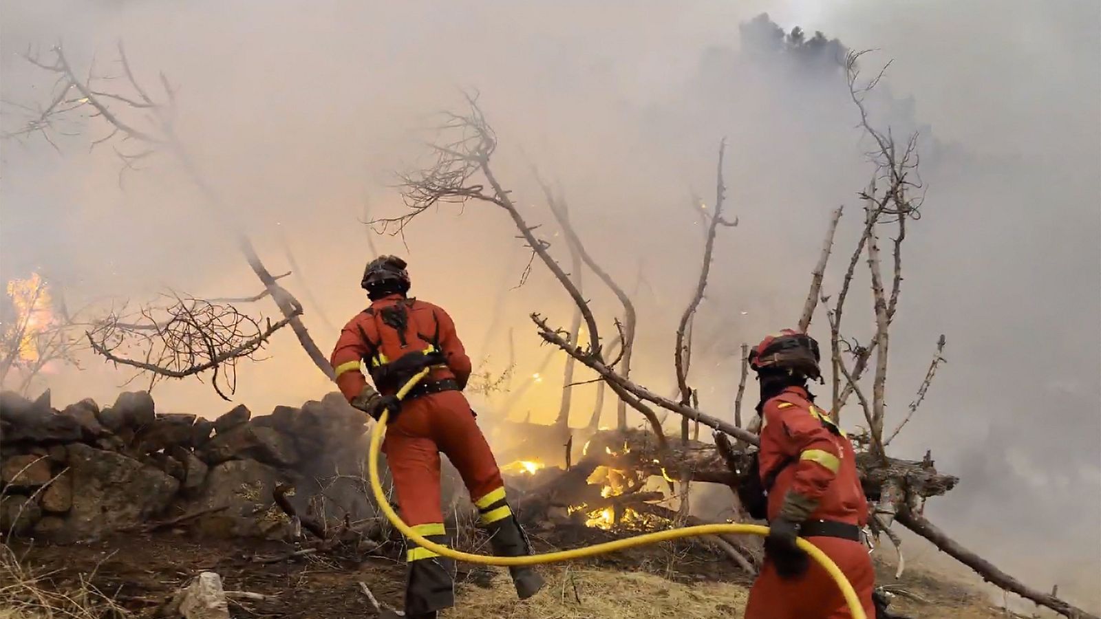 Telediario matinal en 4' - 10/08/2025 | Ver