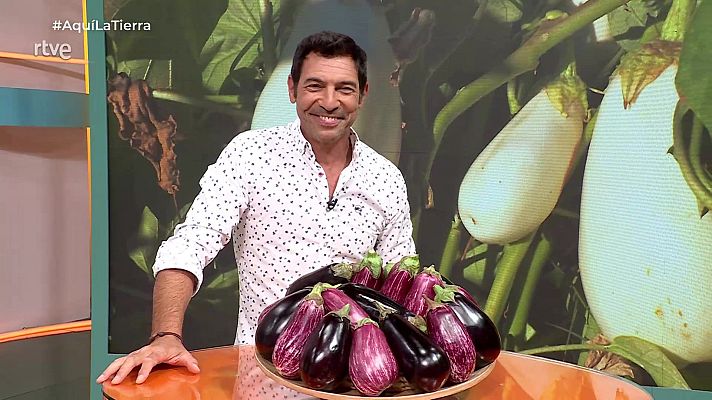 Aquí la Tierra - Aquí la Tierra - 10/08/25