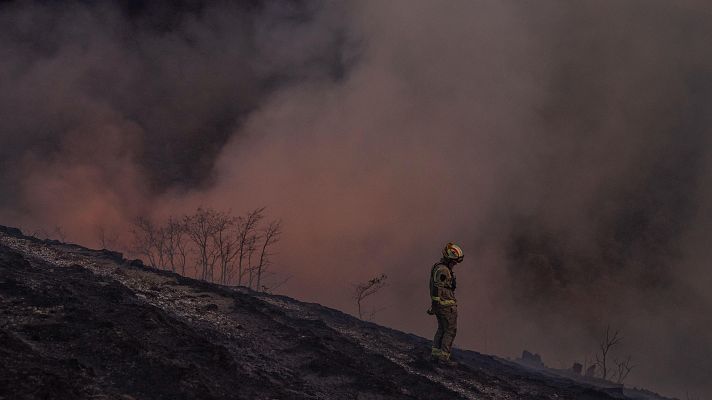 Telediario Matinal - Telediario - 8 horas - 11/08/25