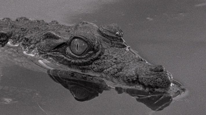 Días de cine - Días de cine: 'Tabú'