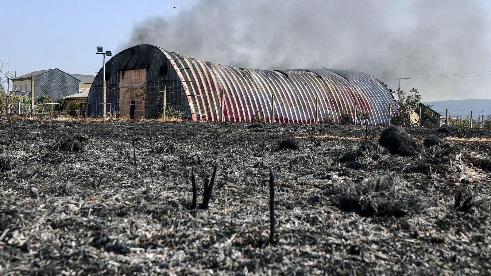 Informativo 24 horas - 14h - 11/08/25 - Informativo 24h | Ver