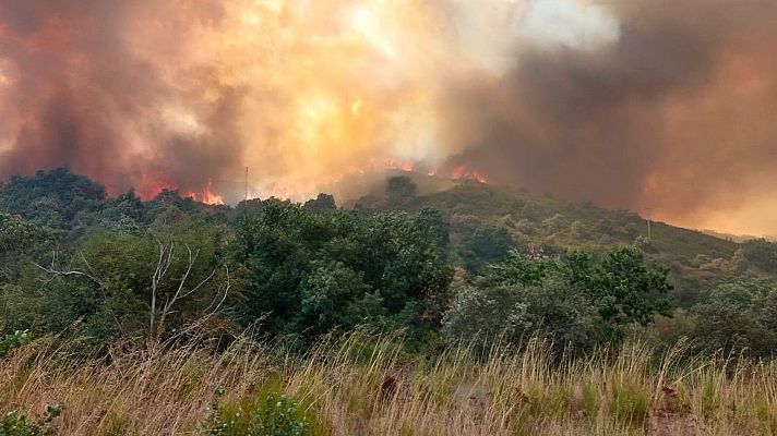 Telediario en lengua de signos - Telediario - 15 horas - 11/08/25 - Lengua de signos