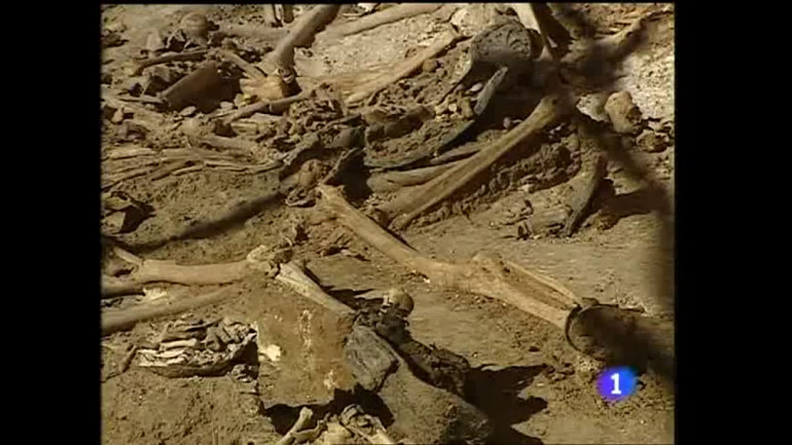 El juez Garzón autoriza la apertura de 19 fosas comunes | Ver ahora