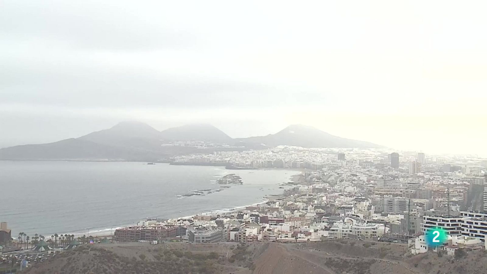 Telecanarias Tarde - 11/08/2025 | Ver