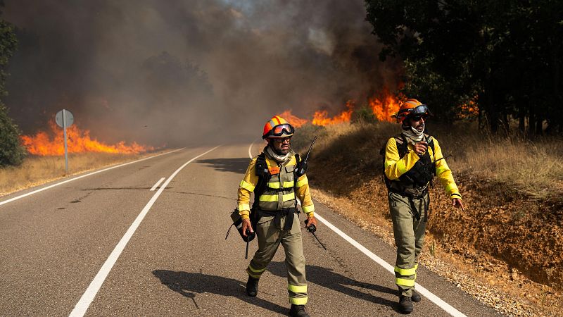 El viento complica la extinción de varios incendios que azotan Castilla y León