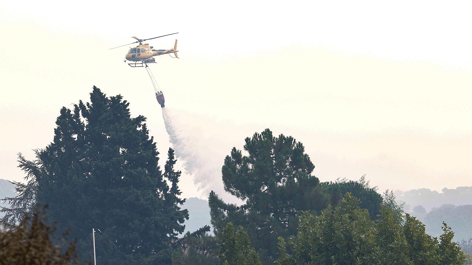 Una vecina desalojada por el incendio de Tres Cantos: “Salimos con los coches y los perros nada más” - La hora de La 1 | Ver