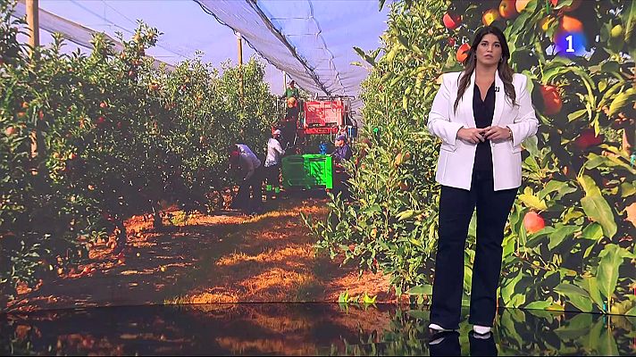 L'Informatiu - Mor un temporer a Alcarràs en plena onada de calor