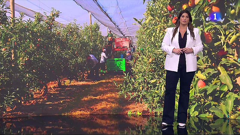 Mor un temporer a Alcarràs en plena onada de calor