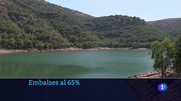 Informativo Telerioja - Telerioja en 2 - 12-08-2025 - Ver ahora