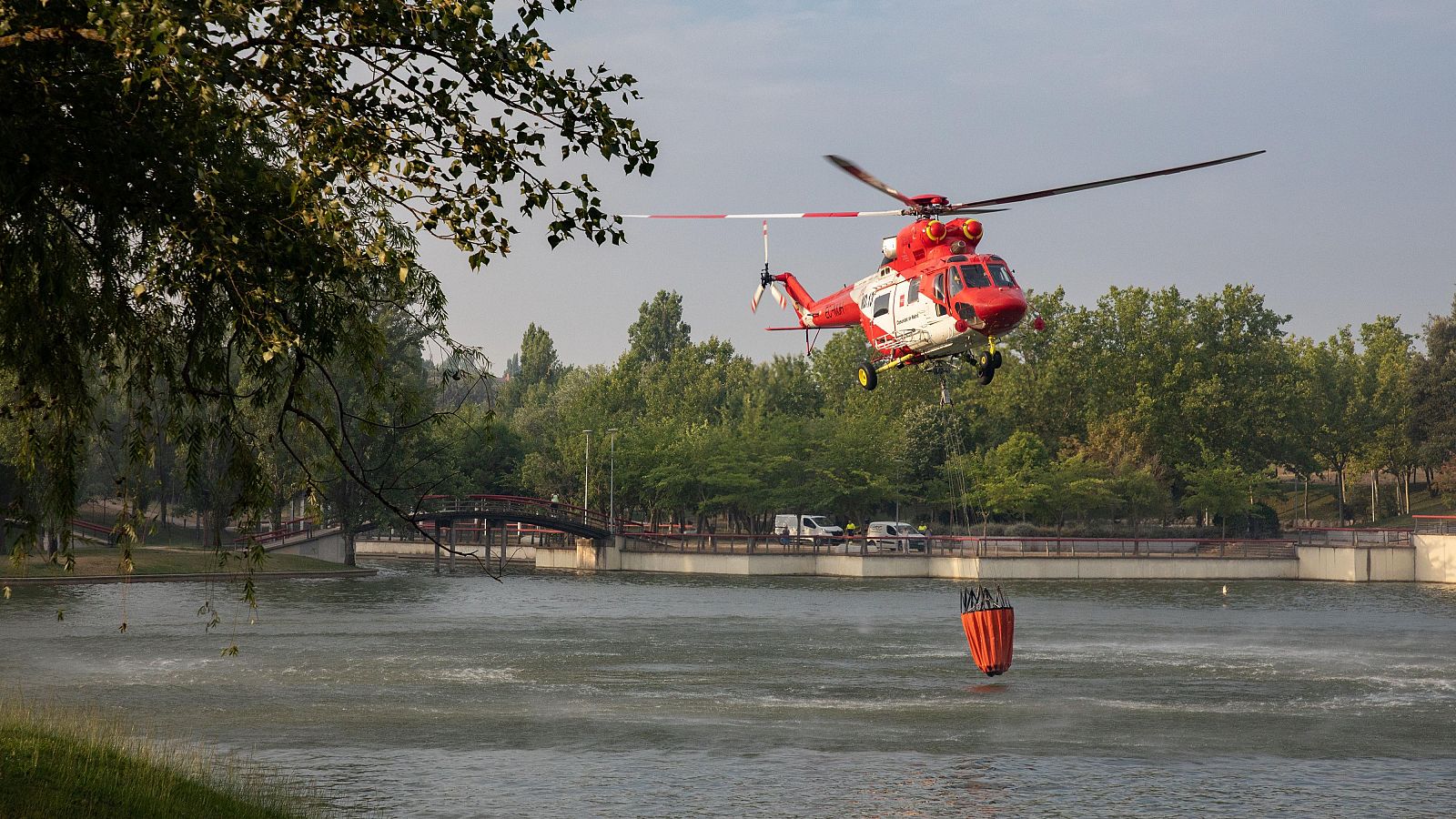 Diario 24 - 12/08/25 - Diario 24 | Ver