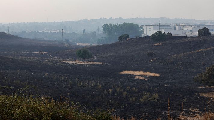 Telediario 1 - Telediario 1 en 4' - 12/08/25