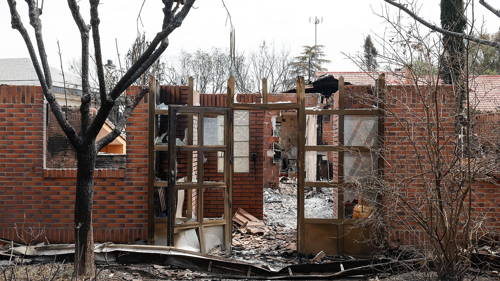 Informativo 24 horas - 14h - 12/08/25 - Informativo 24h | Ver