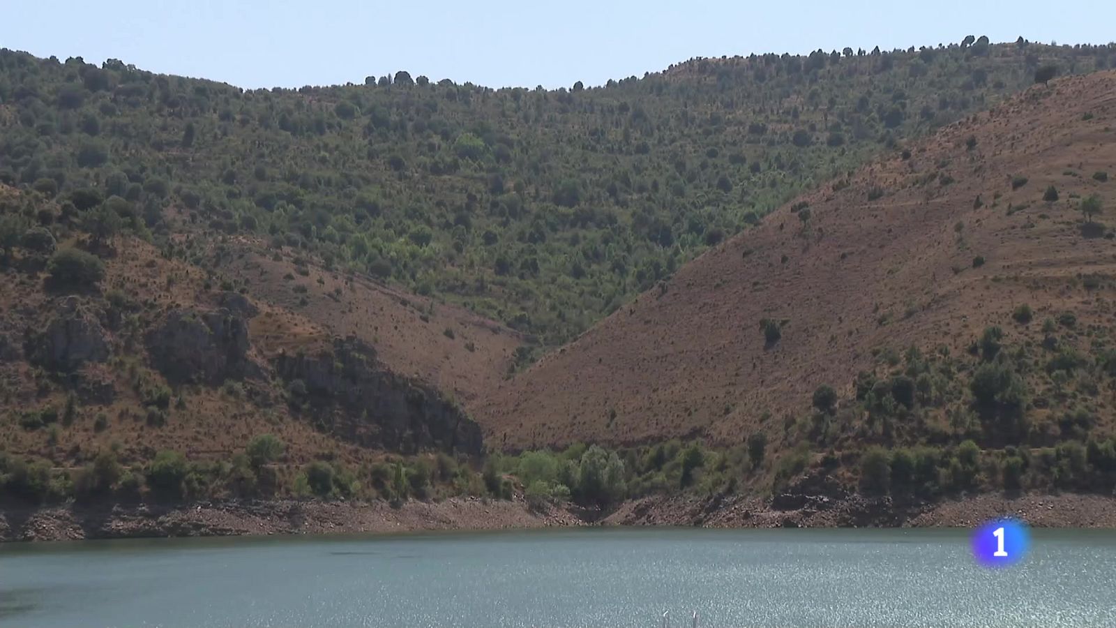 Informativo Telerioja 2 -  12-08-2025 Ver ahora | Ver