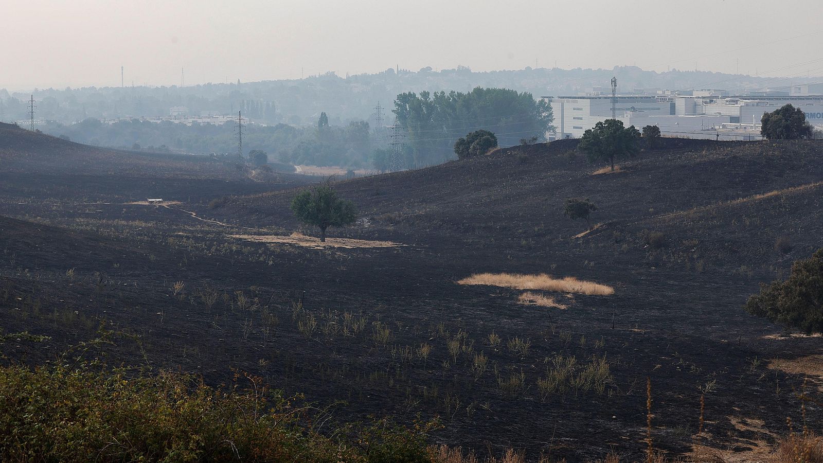 Telediario - 15 horas - 12/08/25 - Telediario 1 | Ver