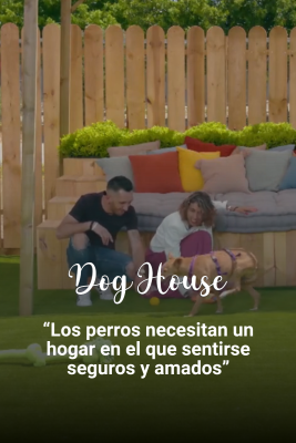 Dog House - Felipe y Sandra: “Los perros necesitan un hogar en el que sentirse seguros y amados”